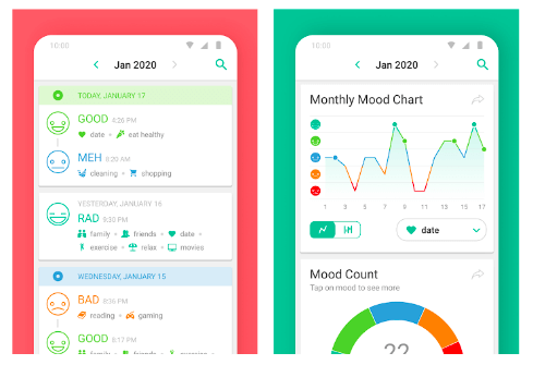 Daylio Organization and Security