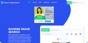 What Are the Most Accurate Reverse Image Search Engines? | Solution Suggest