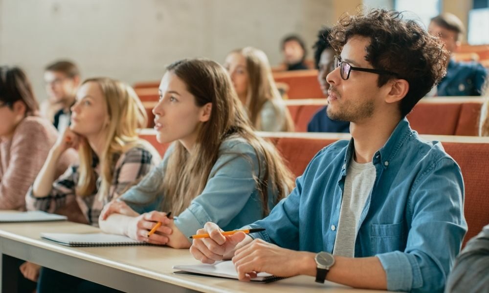 Synthesis essay example image