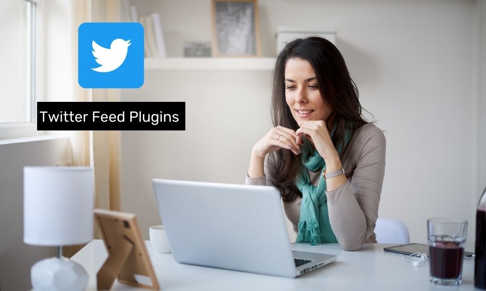 Best Free Twitter Plugin for WordPress