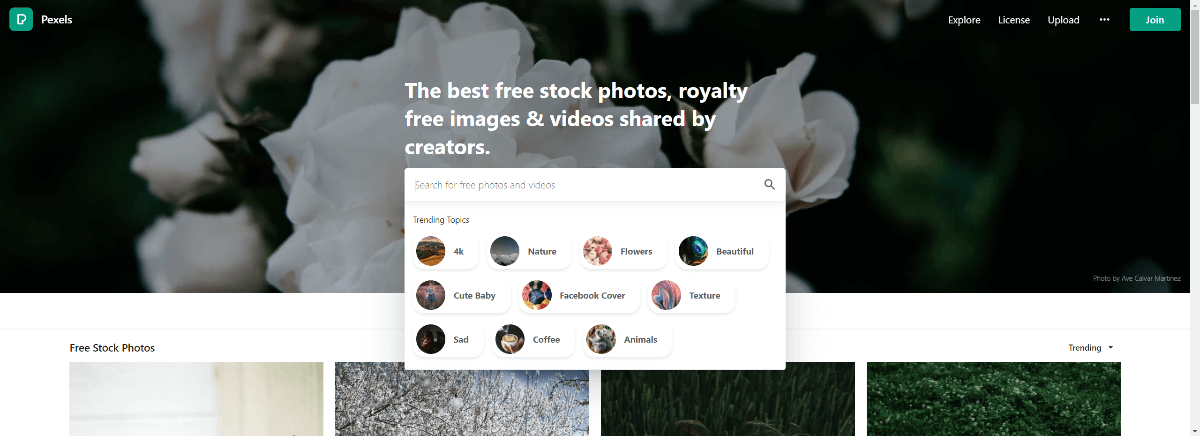 8 Getty Images Alternatives | Free Stock Image Sites | Solution Suggest