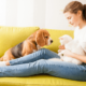 Why Should Your Business Target Pet Owners in Its Next Marketing Campaign