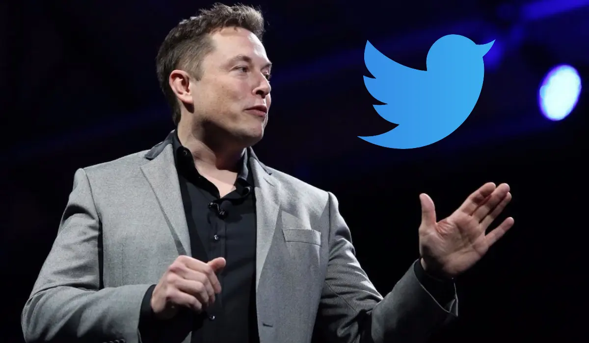 How Does Twitter Look Under Elon Musk?